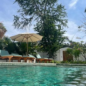 Two Bedroom Villa Dayan Gunung